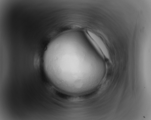 X0000087610123200705181302