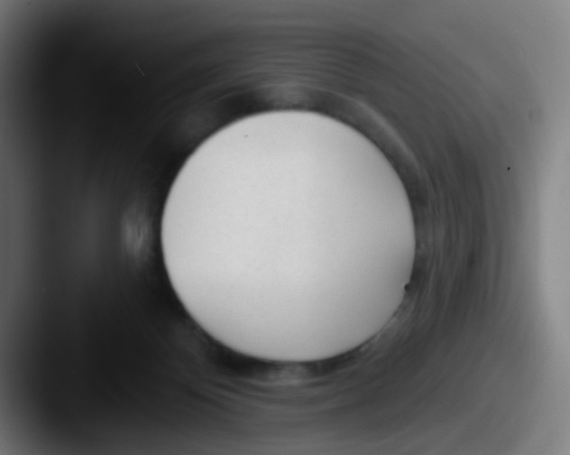 X0000087610124200705181302