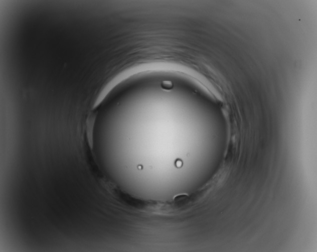 X0000087610125200705181302