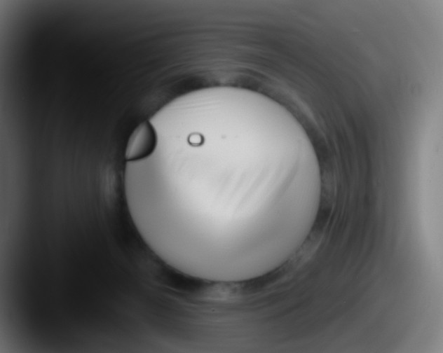 X0000087610126200705181302