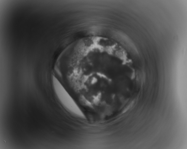 X0000087610127200705181302