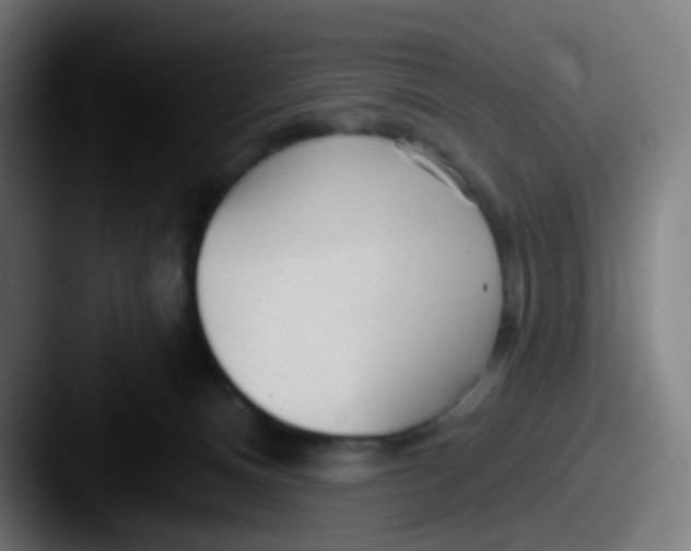 X0000087610128200705181302