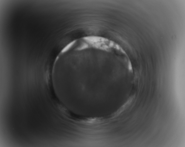 X0000087610130200705181302