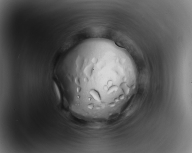 X0000087610131200705181302