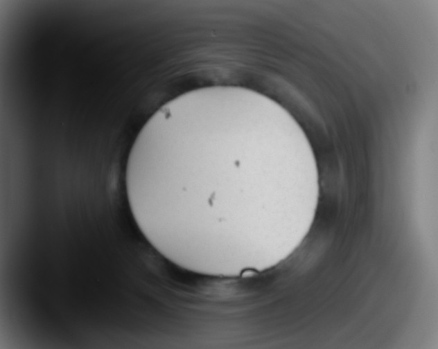 X0000087610132200705181302