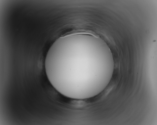 X0000087610133200705181302