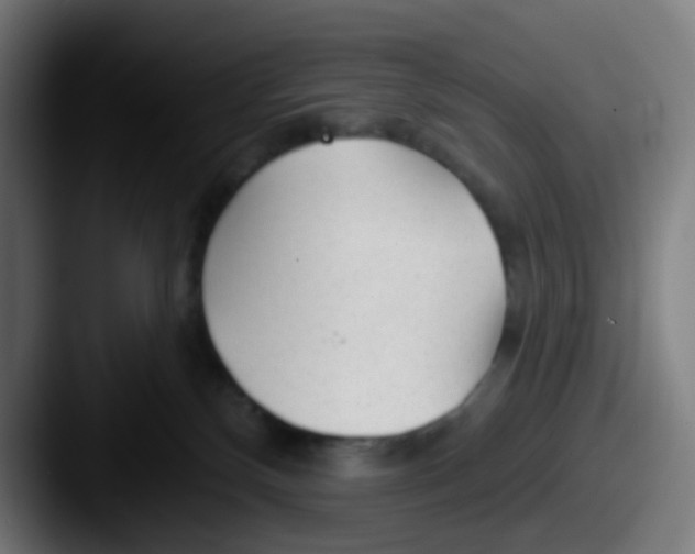 X0000087610136200705181302