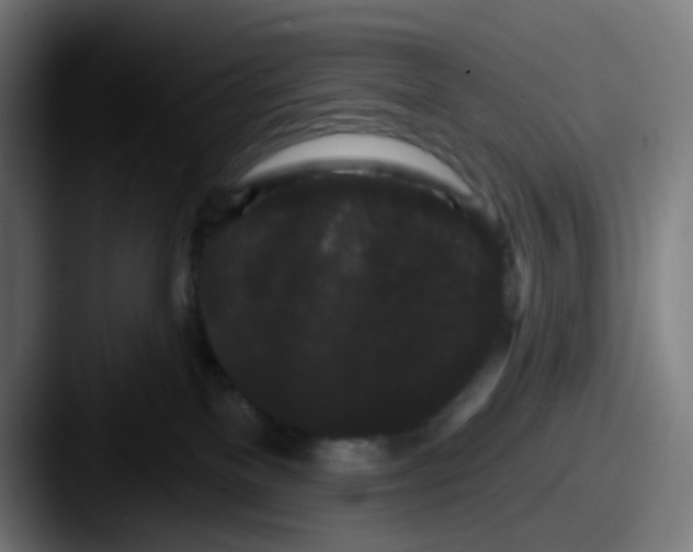 X0000087610137200705181302