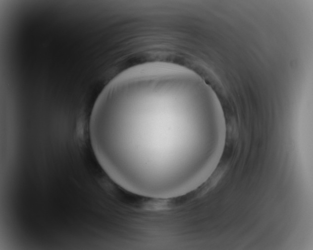 X0000087610138200705181302