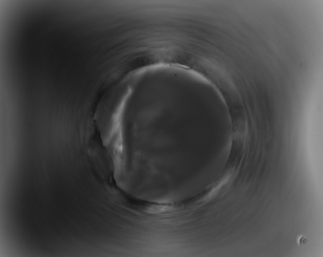 X0000087610139200705181302