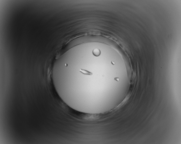 X0000087610142200705181302