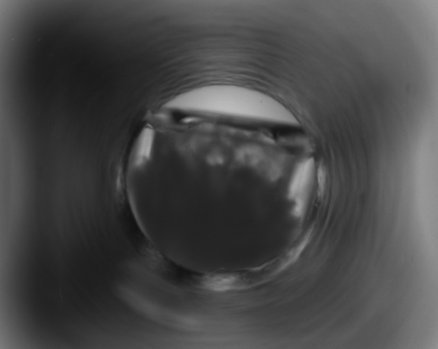 X0000087610143200705181302