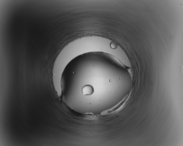 X0000087610144200705181302