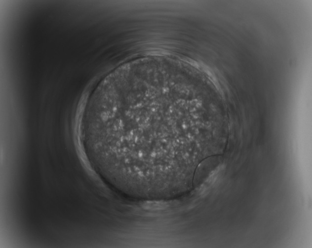 X0000087610145200705181301