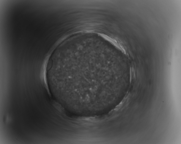 X0000087610147200705181301