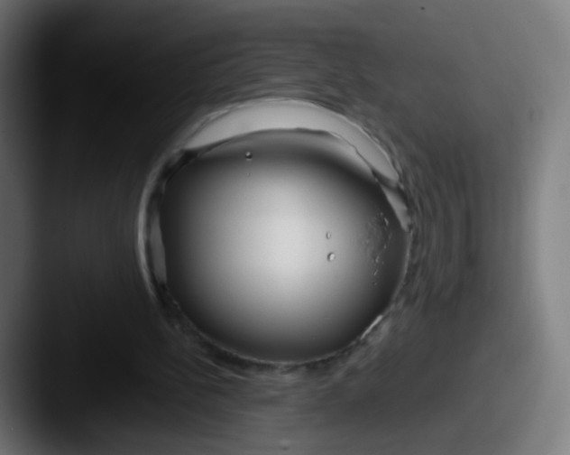 X0000087610148200705181301