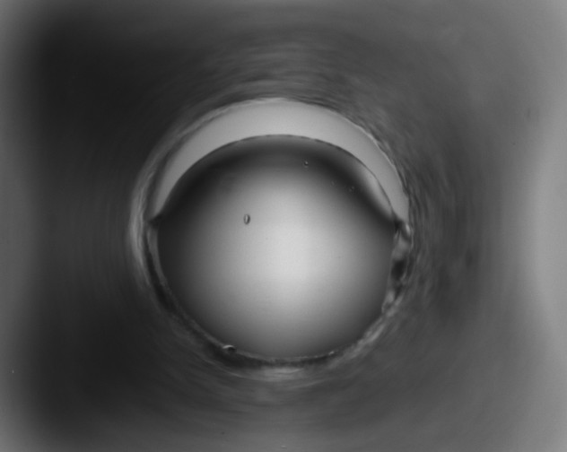 X0000087610150200705181301