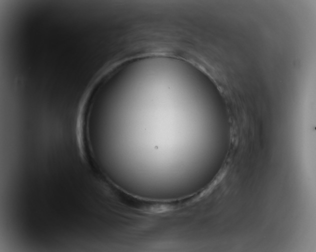 X0000087610152200705181301