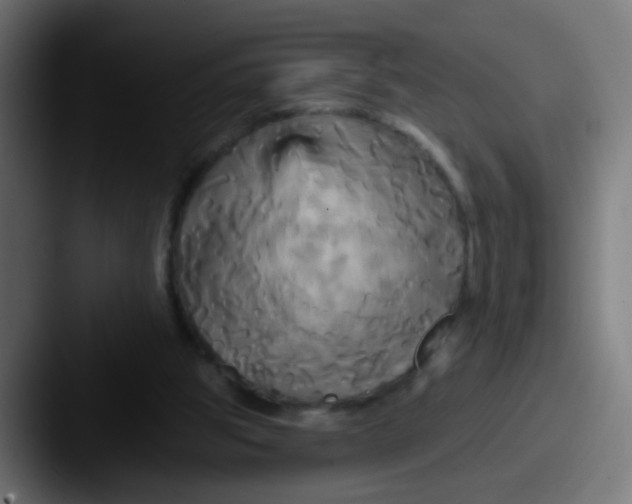 X0000087610153200705181301