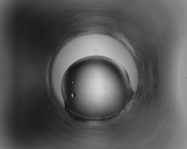 X0000087610154200705181301