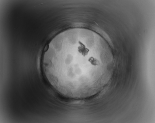 X0000087610155200705181301