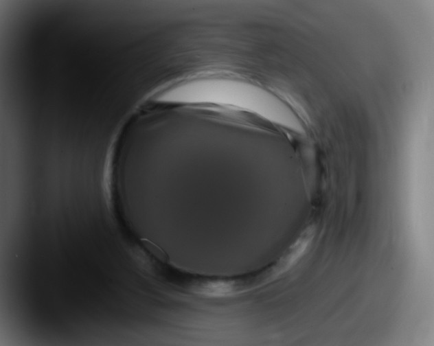 X0000087610156200705181301