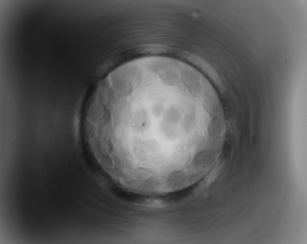 X0000087610159200705181301