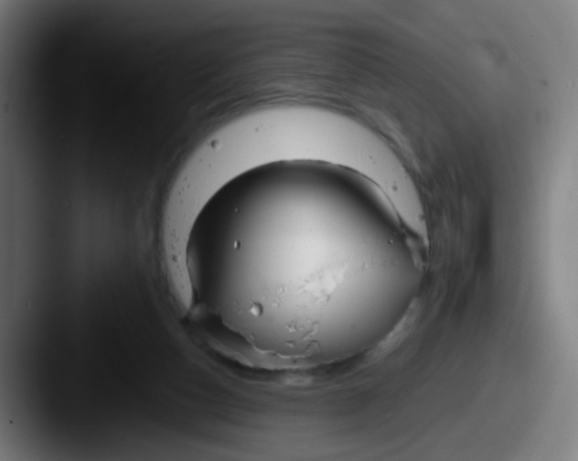 X0000087610162200705181301