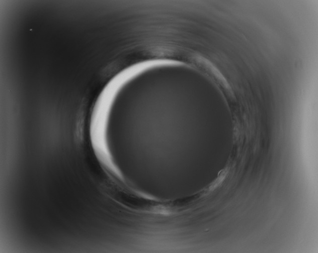 X0000087610163200705181301