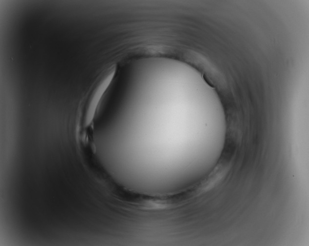 X0000087610164200705181301