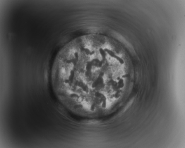 X0000087610165200705181301