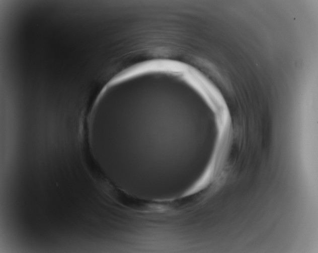 X0000087610167200705181301