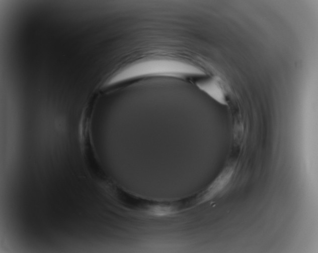 X0000087610168200705181301