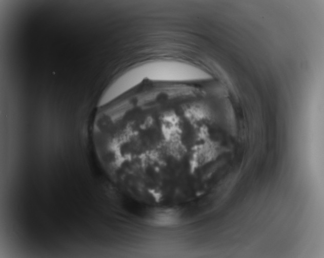 X0000087610169200705181301