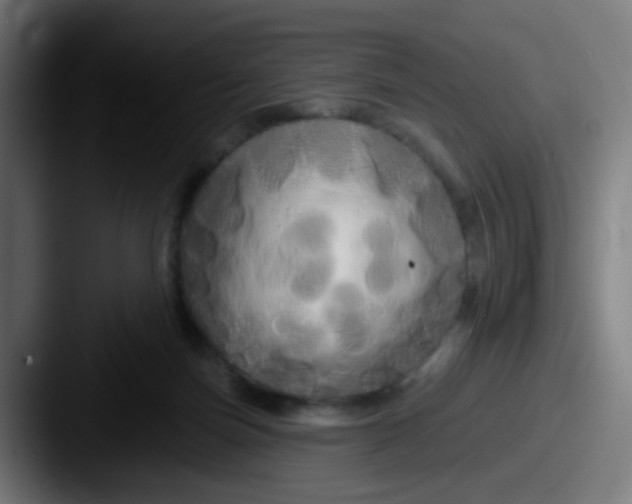 X0000087610171200705181301