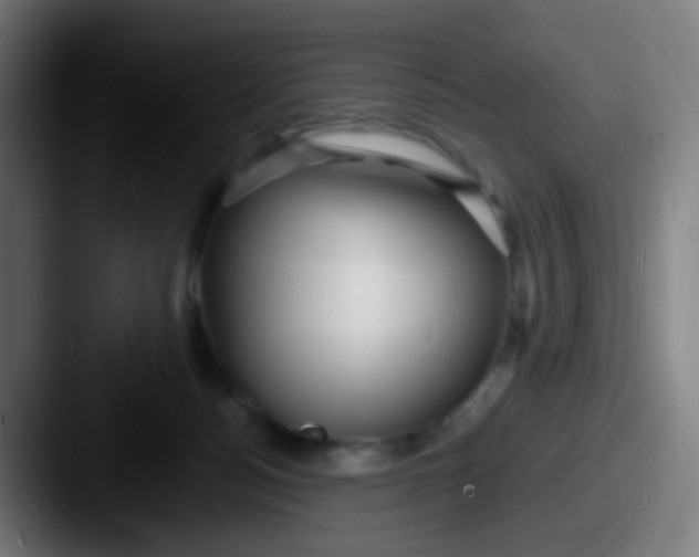 X0000087610172200705181301