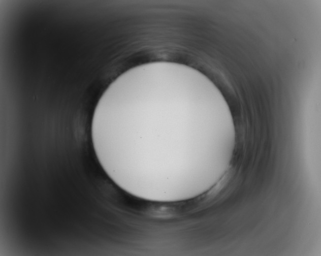 X0000087610174200705181301