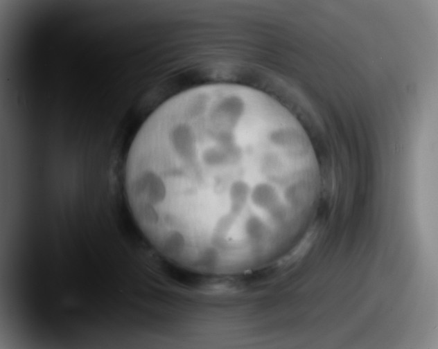 X0000087610175200705181301