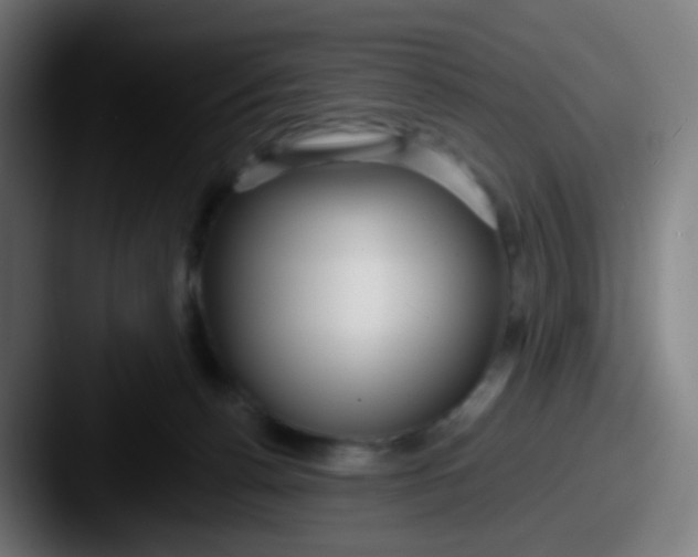 X0000087610176200705181301