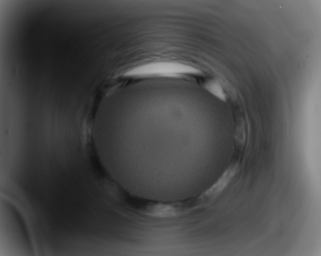 X0000087610180200705181301