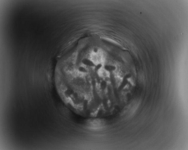 X0000087610181200705181301