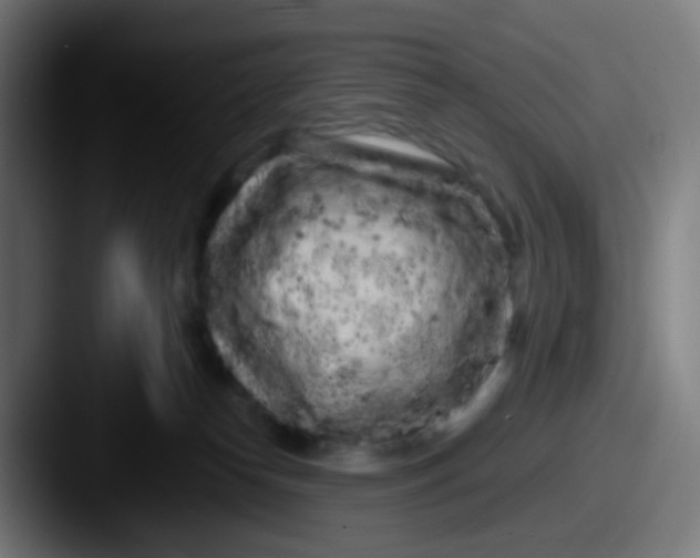 X0000087610182200705181302