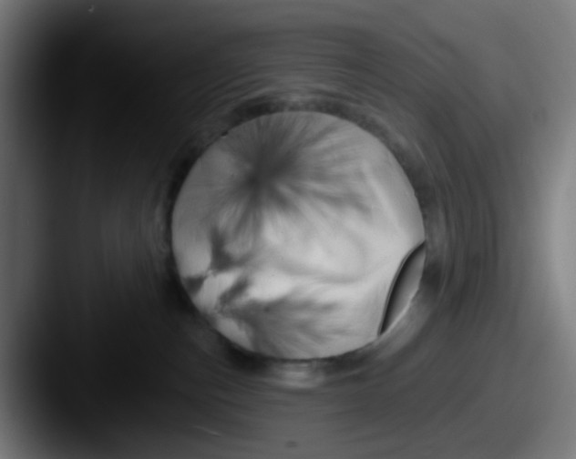 X0000087610187200705181302