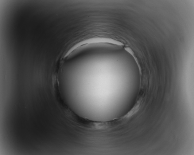 X0000087610188200705181302