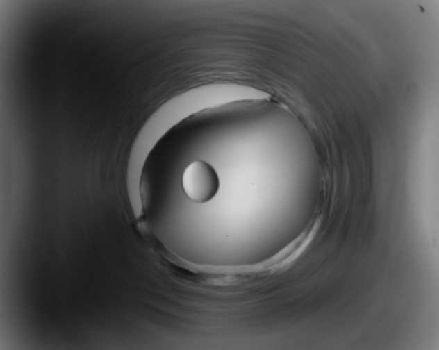 X0000087610190200705181302