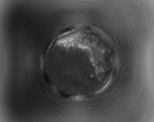 X0000087610191200705181302