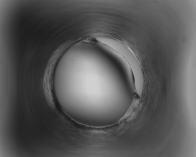 X0000087610193200705181301