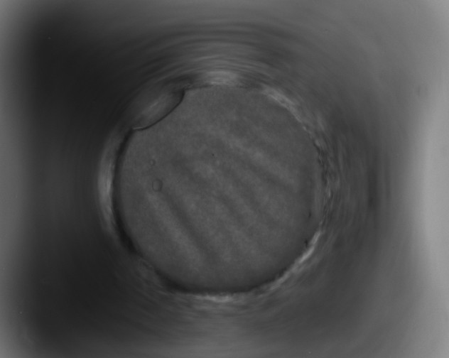 X0000087610194200705181301