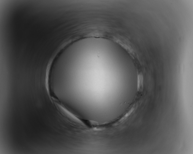 X0000087610195200705181301