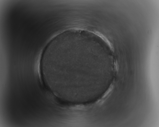 X0000087610196200705181301